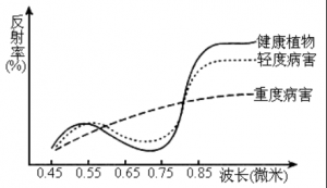 【Yusense Map+】典型應(yīng)用1：基于多光譜遙感的常用植被指數(shù)計(jì)算 ...