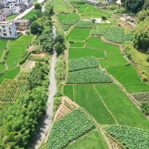 福建連城莒溪鎮(zhèn)— 無人機巡河護河治理